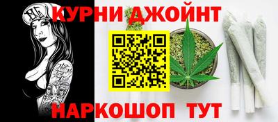 МДПВ Камышлов