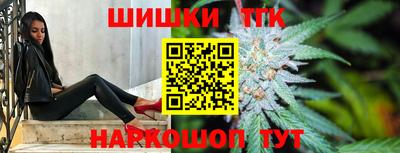 МДПВ Камышлов