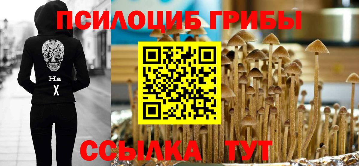 Галлюциногенные грибы Psilocybine cubensis Курганинск