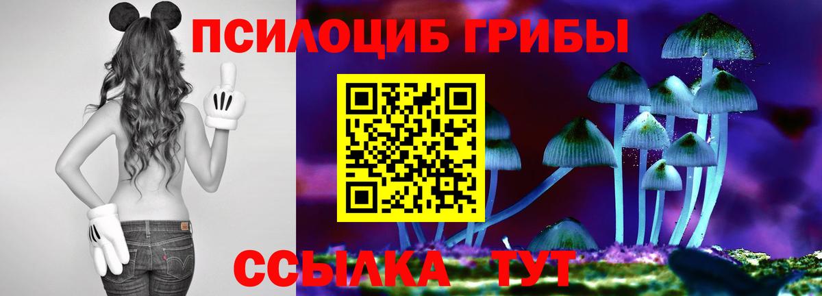 Псилоцибиновые грибы MAGIC MUSHROOMS  Вход с VPN  Курганинск 